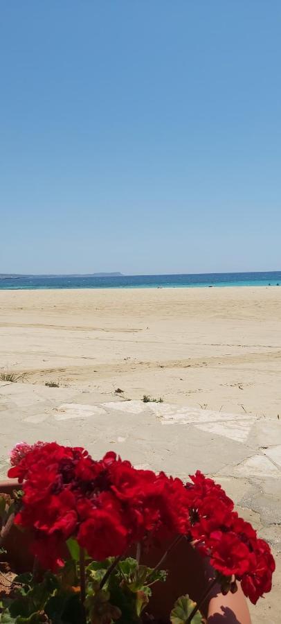 Lejlighed Panthoma Casa Ayia Napa